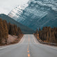 Roadtripper Poster