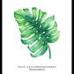 Monstera Leaf Poster