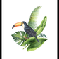 Toucan Poster