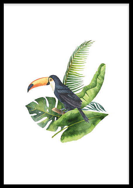 Toucan Poster