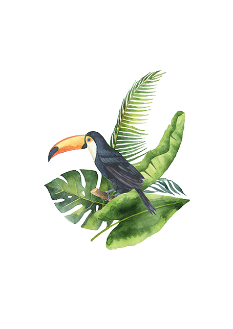 Toucan Poster