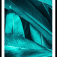 Leaves Tropics Poster