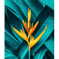 Tropical Flower Poster