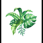 Tropical Leaves Poster