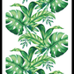 Tropical Leaves 2  Poster