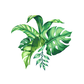 Tropical Leaves Poster