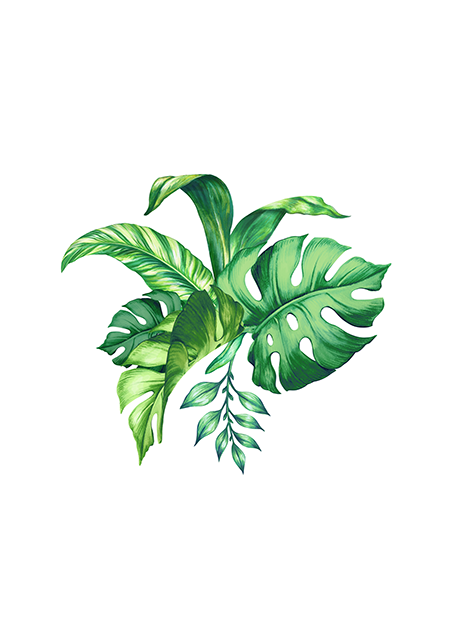 Tropical Leaves Poster