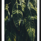 Unplug Poster