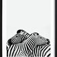Zebra Hug Poster