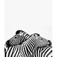 Zebra Hug Poster